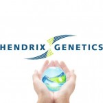 Hendrix-Genetics-logo-696x464